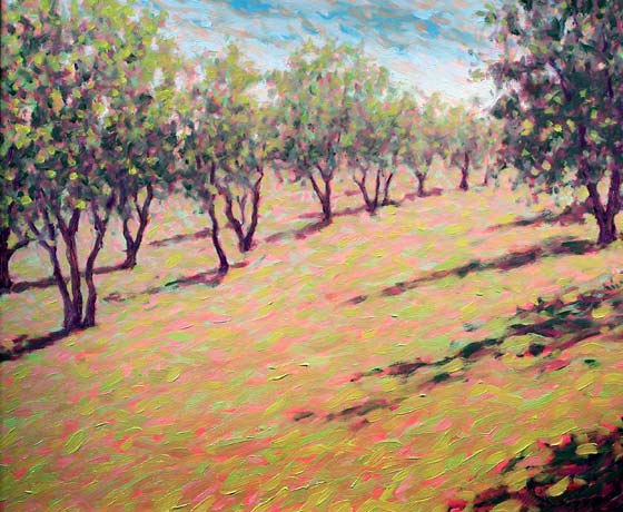 OLIVE GROVE